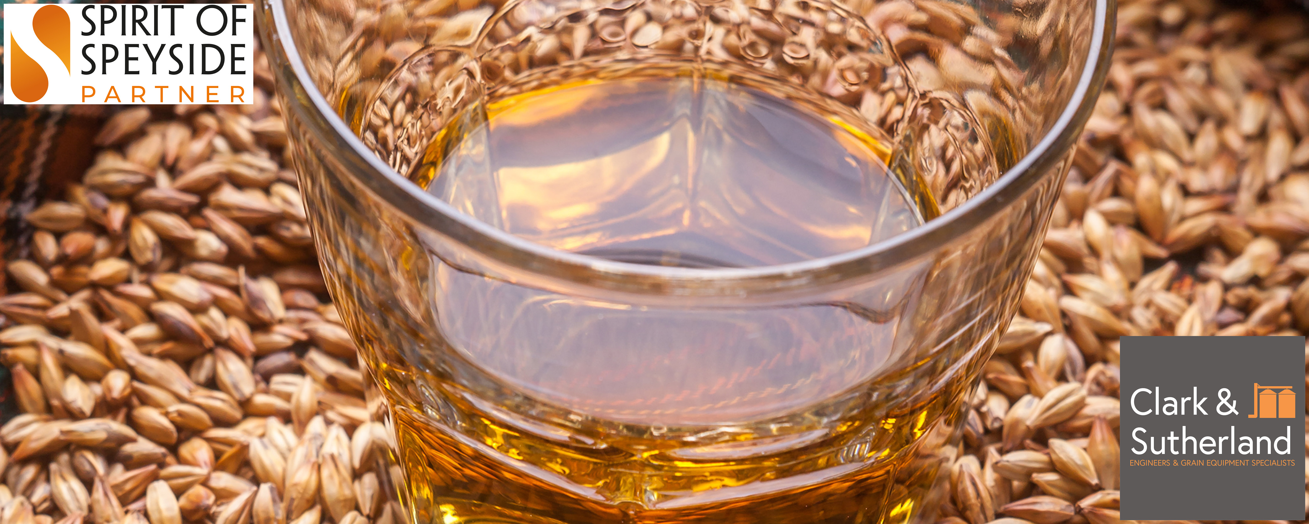 Close up of whisky glass sitting on malt